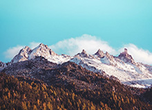 九游APP下载｜发现游戏与福利的最佳入口