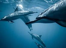 hth体育：让运动成为生活的主角